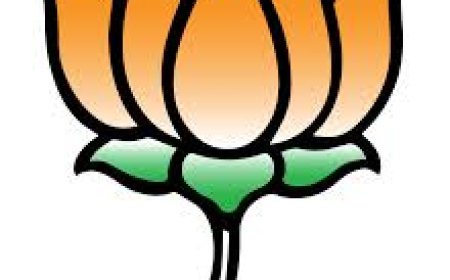 ਲੁਧਿਆਣਾ ਪੱਛਮੀ ਜ਼ਿਮਨੀ ਚੋਣ ‘ਚ ਭਾਜਪਾ ਦੀ ਰਣਨੀਤੀ ਨੂੰ ਲੈ ਕੇ ਉੱਠਣ ਲੱਗੇ ਸਵਾਲ