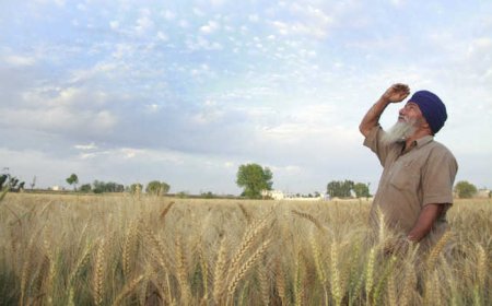 ਮੌਸਮ ਨੂੰ ਲੈ ਕੇ ਵੱਡੀ ਅਪਡੇਟ, ਲੋਕਾਂ ਨੂੰ ਕੀਤਾ ਸਾਵਧਾਨ!