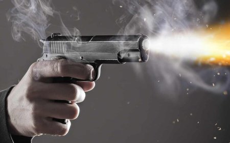 ਚੰਡੀਗੜ੍ਹ ਪੁਲਿਸ ਦੇ ਸੇਵਾ ਮੁਕਤ DSP ਨੇ ਆਪ ਆਗੂ ਨੂੰ ਮਾਰੀਆਂ ਗੋਲੀਆਂ