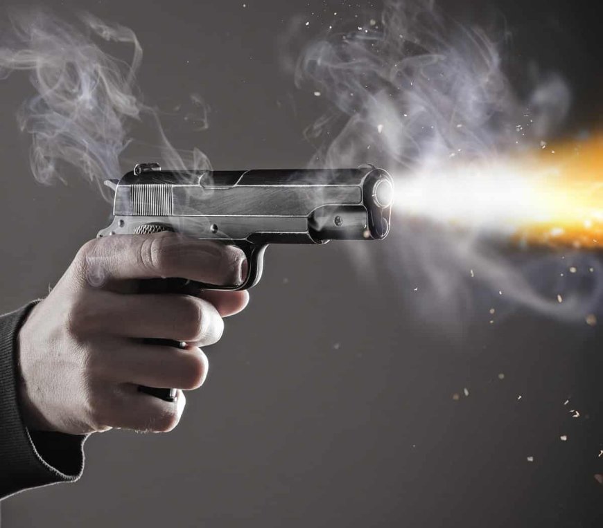 ਚੰਡੀਗੜ੍ਹ ਪੁਲਿਸ ਦੇ ਸੇਵਾ ਮੁਕਤ DSP ਨੇ ਆਪ ਆਗੂ ਨੂੰ ਮਾਰੀਆਂ ਗੋਲੀਆਂ